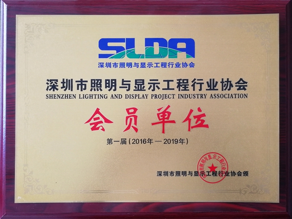 Member — Lighting & Display Engineering Industry Association