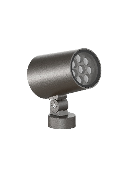 LED Flood Light